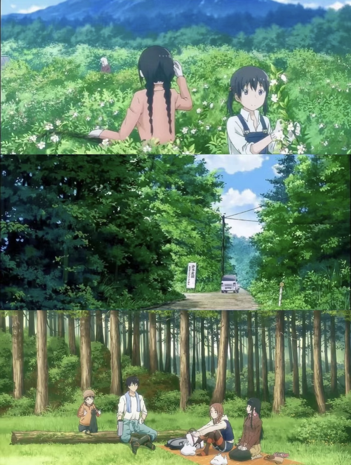 那些山花海